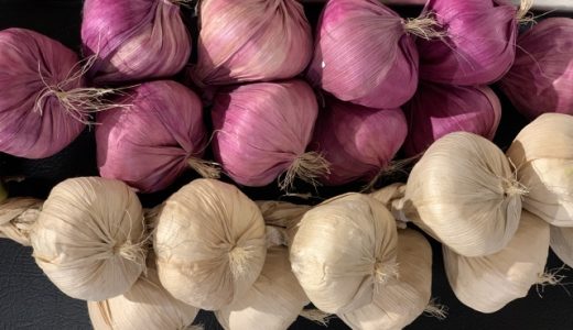 生にんにくと乾燥にんにくの違いは?芽は食べられる?緑色に変色する?