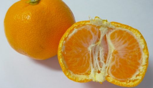 みかんの白い筋の名前は？がん予防に効く等の栄養が満点！効能は？