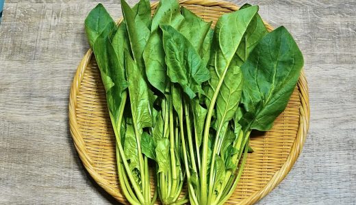 ほうれん草を生で食べてしまったけれど大丈夫?生で食べる危険性とは