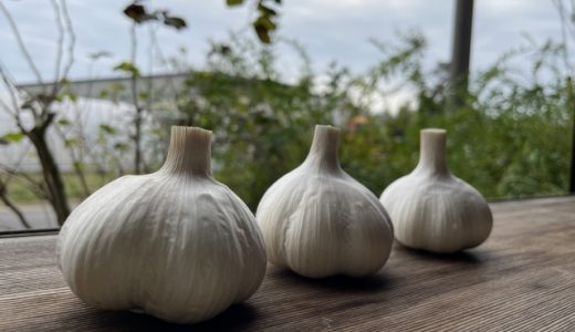にんにくを少量しか食べていないのに下痢が…アレルギーの危険性は？