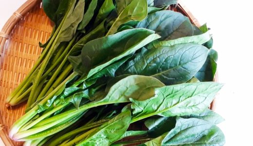 ほうれん草の賞味･消費期限は?保存方法別の日持ち･冷凍保存方法も