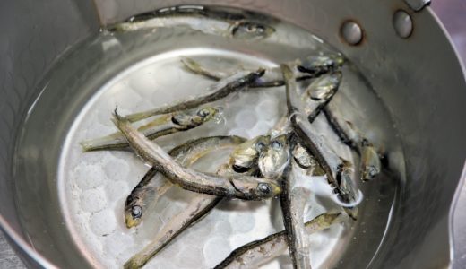 いりこの食べ過ぎは体に悪い?痛風・高血圧に?一日の摂取量とは