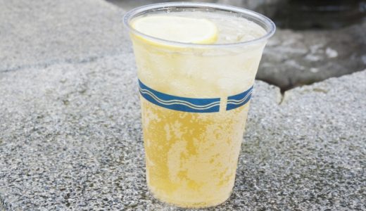 トニックウォーターと炭酸水の違い｜使い道･カロリー･代用できる？