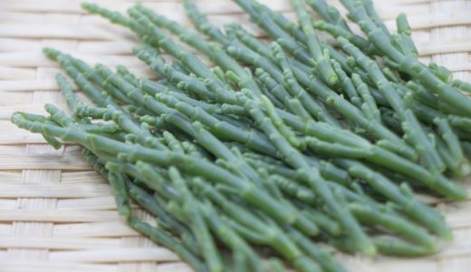 シーアスパラガスは冷凍保存可能?特徴・栄養・おすすめの食べ方とは