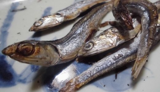 煮干しの食べる量は一日どれくらいまで?食べ過ぎると生じる悪影響とは