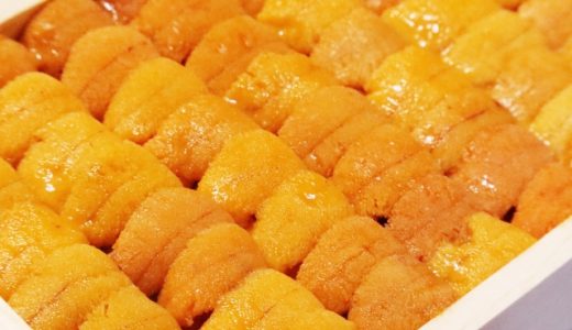 ムラサキウニはまずい?バフンウニの方が美味しいの?苦味の原因は?