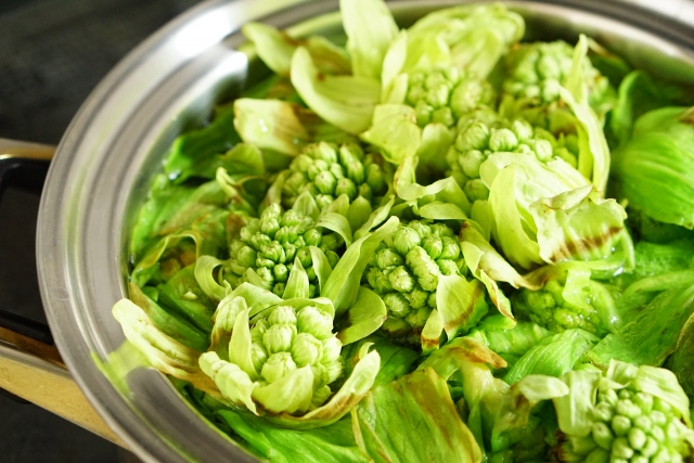 ふきのとうアレルギーってどんな症状 原因は 根に毒があるって本当 お役立ち 季節の耳より情報局