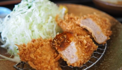 ヒレカツは太る？体に悪い？カロリーは？ロースかつとの違いは？