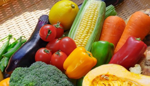 サラダが苦い原因は?野菜の苦味【キャベツ・レタス・芽キャベツ】