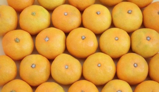 酸っぱいミカンの種類を解説！酸味成分が豊富なブランド一覧！