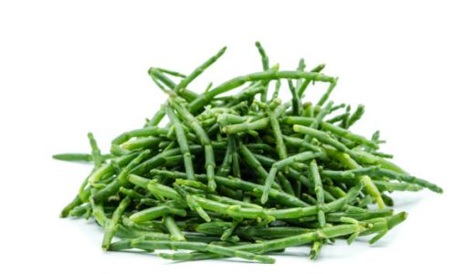シーアスパラガスの栄養は？海水で育つ野菜で健康やダイエット！特徴や使い方