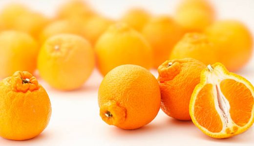 デコポンの食べ過ぎで腹痛･下痢に!毎日食べると太る?カロリーは?