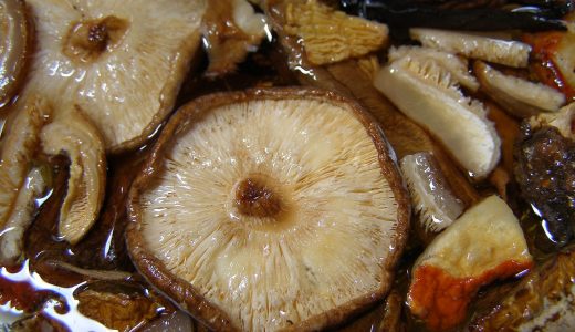干し椎茸のぬか漬けはそのまま食べる？加熱した方がいい？食べ方は？