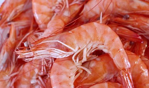 【大人】エビのアレルギー症状｜対処法･発症時間･加熱すれば大丈夫?