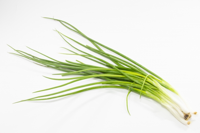 わけぎと日わけぎの違いは 食べ方が違う 小ネギとの違いも解説 お役立ち 季節の耳より情報局
