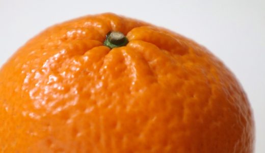 甘夏の薄皮はシロップ漬けで食べるのがオススメ！皮の効能は？