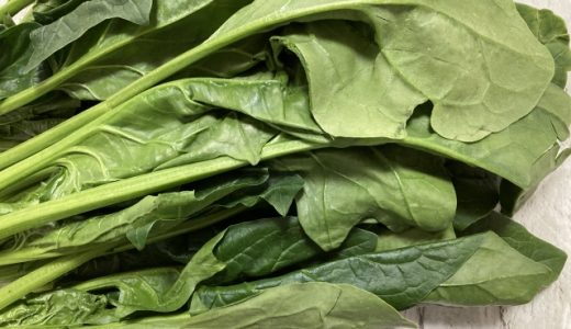 ほうれん草の白和えは冷凍できる？作り置きは可能？お弁当にも