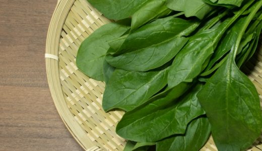 ほうれん草の食べ合わせで良いものは？牛乳との相性はなぜ良いの？