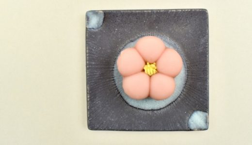 和菓子の賞味期限は？腐るとどうなる？保存方法別の日持ち•冷凍保存