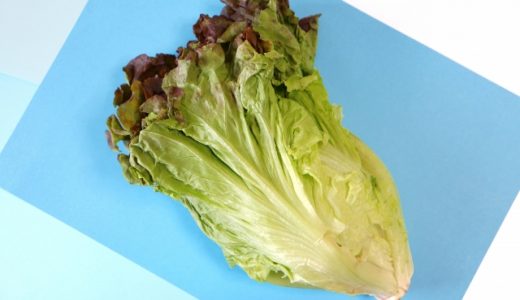 サニーレタスの賞味期限・消費期限は？水につけて保存で大丈夫？
