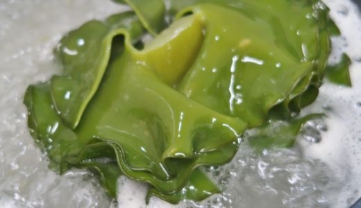 生昆布の賞味期限は?腐る?保存方法別の日持ち・乾燥保存の方法