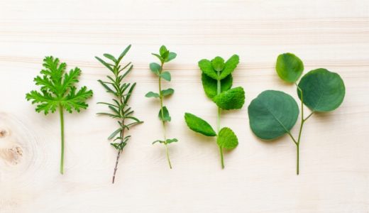 タイムとローズマリーの違いは？使い方7選を紹介！代用品はある