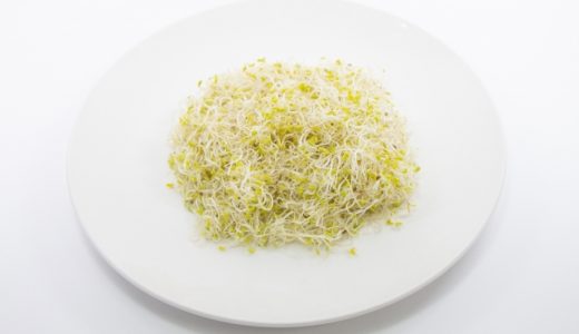 アルファルファの賞味期限はどれくらい?保存方法や栄養・効果を解説