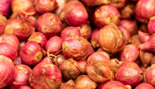 エシャロットと玉ねぎの違いは?エシャレットとは同じものなの?