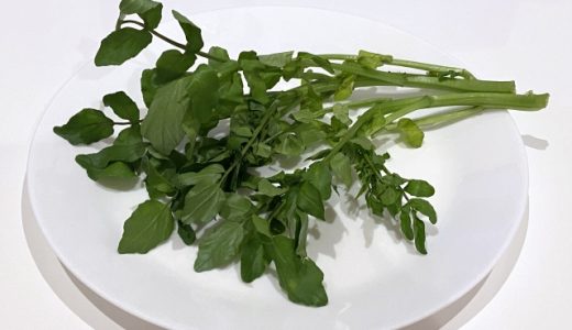クレソンの保存期間は？変色してるけど腐ってる？腐る原因は？