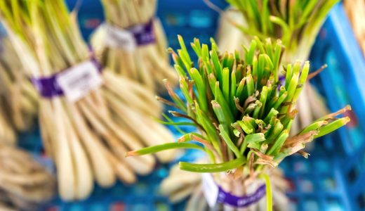 島らっきょうの辛味抜きを解説！塩漬けにしてもらっきょうの辛味が…