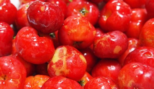アセロラは生食できる?食べ方･効果や栄養｜食べ過ぎは体に悪い?