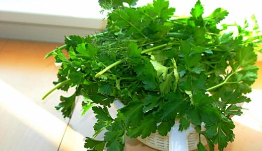 イタリアンパセリの味ってどんな味?栄養は?美味しいものの選び方 