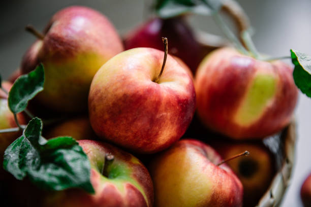 りんごでお腹ゴロゴロ 下痢 腹痛に 症状の原因はアレルギー 効果は お役立ち 季節の耳より情報局