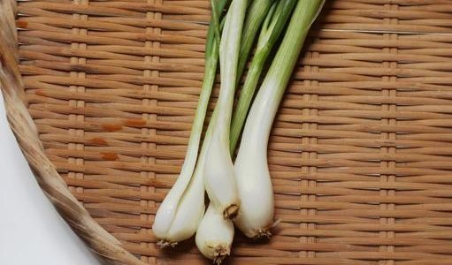 わけぎの球根･根元はどこまで食べる?美味しい食べ方･栄養･効能は?