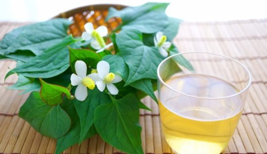 ドクダミは便秘解消に効果がある？どくだみ茶に副作用はある？