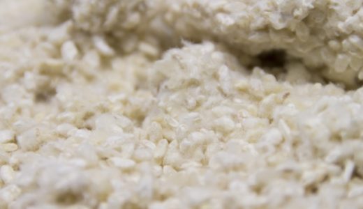 塩麹は何歳から食べられる?離乳食や幼児食に麹調味料が最適な理由