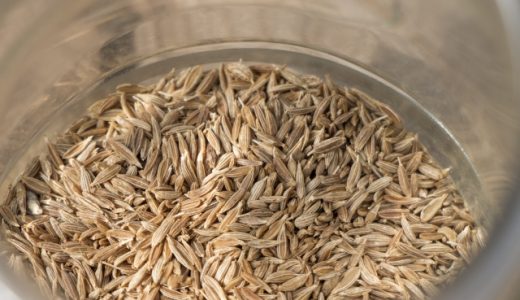 クミンってどんな味？どんな風味？効果・効能は？使い方を解説