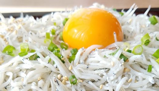 生しらすは余ったら翌日も食べて大丈夫?食べきれない時は冷凍保存
