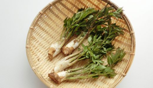 うどが苦い原因と対処法｜アク抜きしないで食べられる?下処理方法