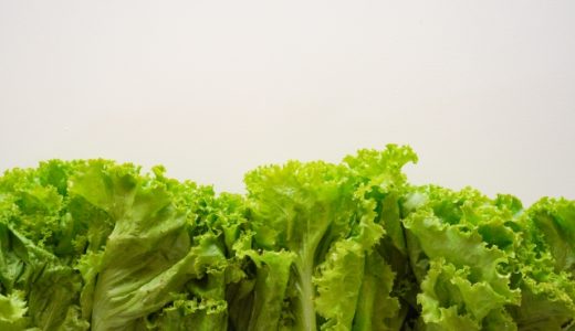 サニーレタスの食べ過ぎで下痢･腹痛？太る？適切な摂取量と栄養や効能