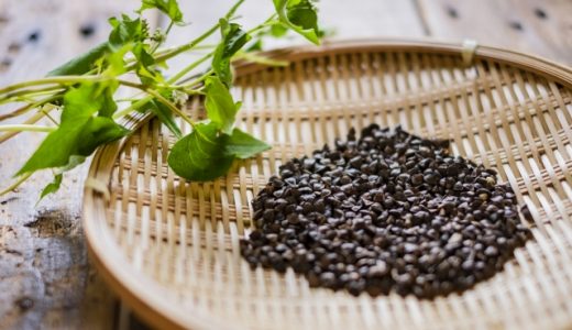 そば茶アレルギーって？飲み過ぎたらどうなる？アナフィラキシーに注意！