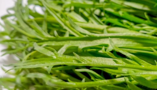 エルバステラの味はまずい？おいしい？どんな野菜？効能や食べ方は？