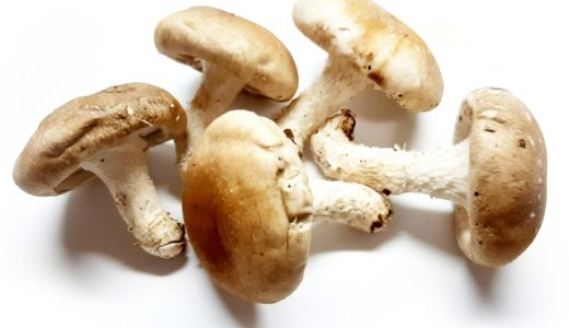 しいたけの白いふわふわは食べても大丈夫？カビなの？見分け方や保存方法