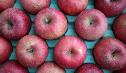 腐ったりんごで食中毒に！症状･原因は？腐ったものを食べた時の対処法