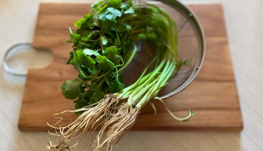セリにも生産地によって種類が？せり鍋にあうのはどこのセリ？