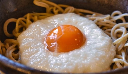 とろろの保存方法は？冷蔵・冷凍してもいい？腐ったらどうなる？