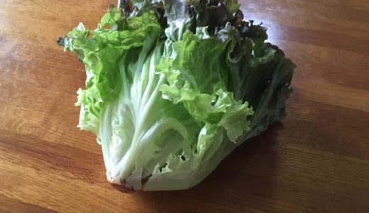 サニーレタスは冷凍保存すべき？大量に保存〜美味しく消費する方法