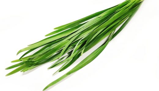 ニラは生食できる？毒はある？一日の摂取量を知って正しく栄養を摂取