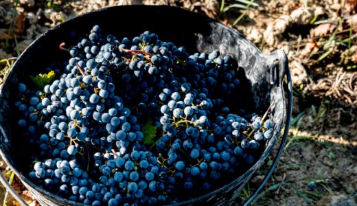 ワインビネガーの代用として使えるものは?家でも作れるって本当?