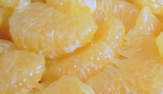 甘夏の砂糖漬けの冷凍保存方法｜賞味期限･日持ちは?腐るとどうなる?